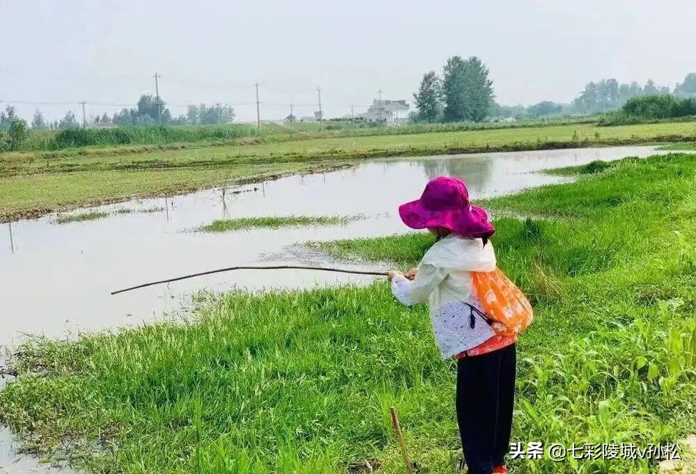 德州陵城东方,德州陵城智圣故里
