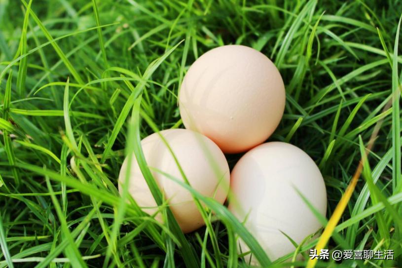 孩子春季长高吃哪种钙片比较好,春季长高黄金期孩子蹿个儿有妙招