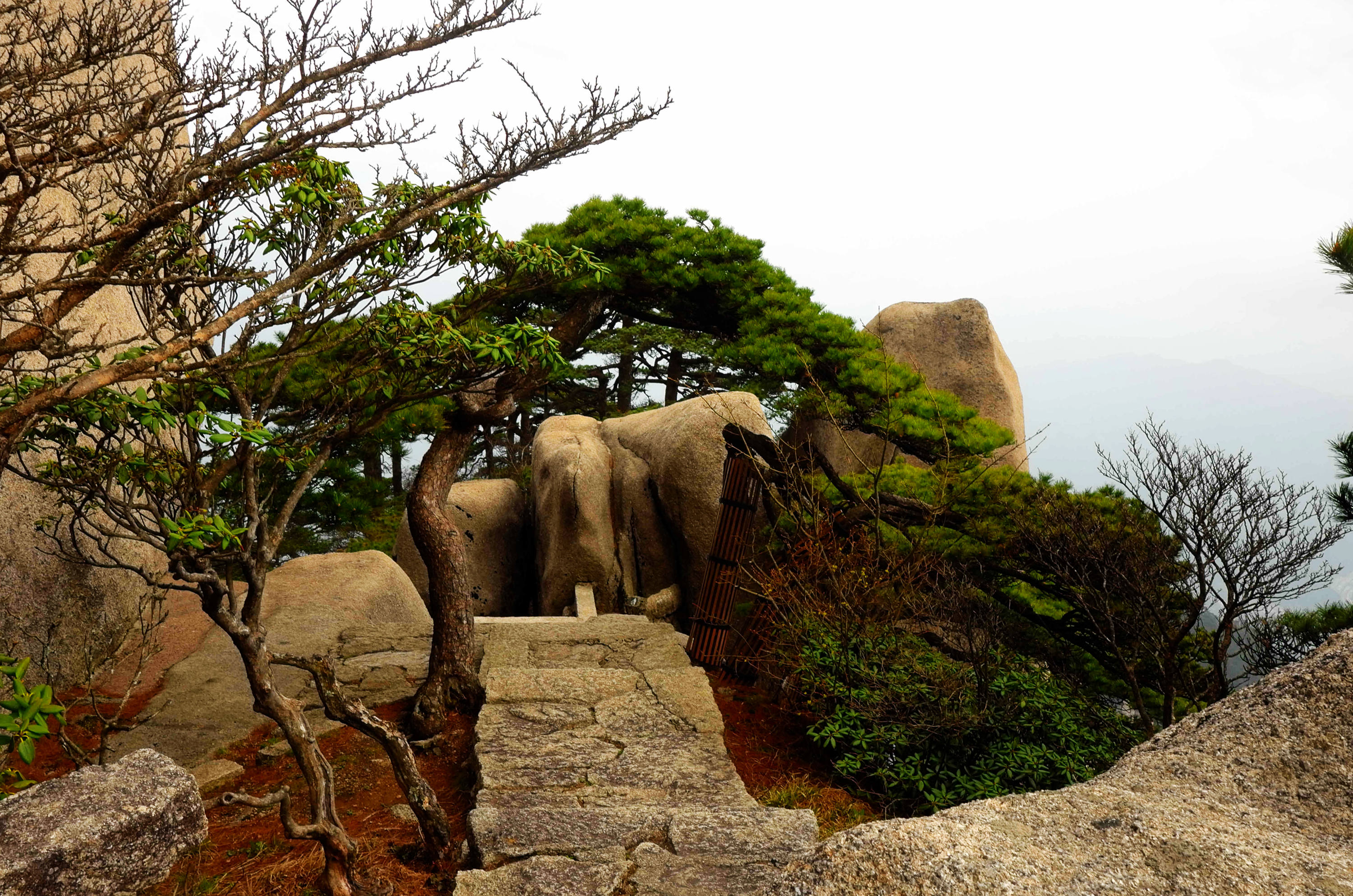 黄山天都峰会走鲫鱼背吗,黄山天都峰鲫鱼背第一视角