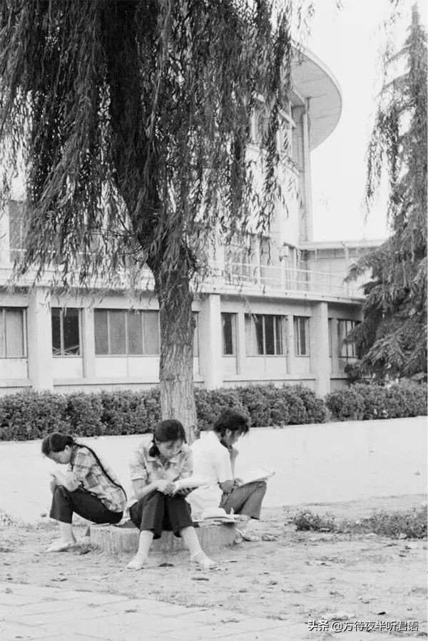 1980年代郑州老照片,八十年代郑州老视频