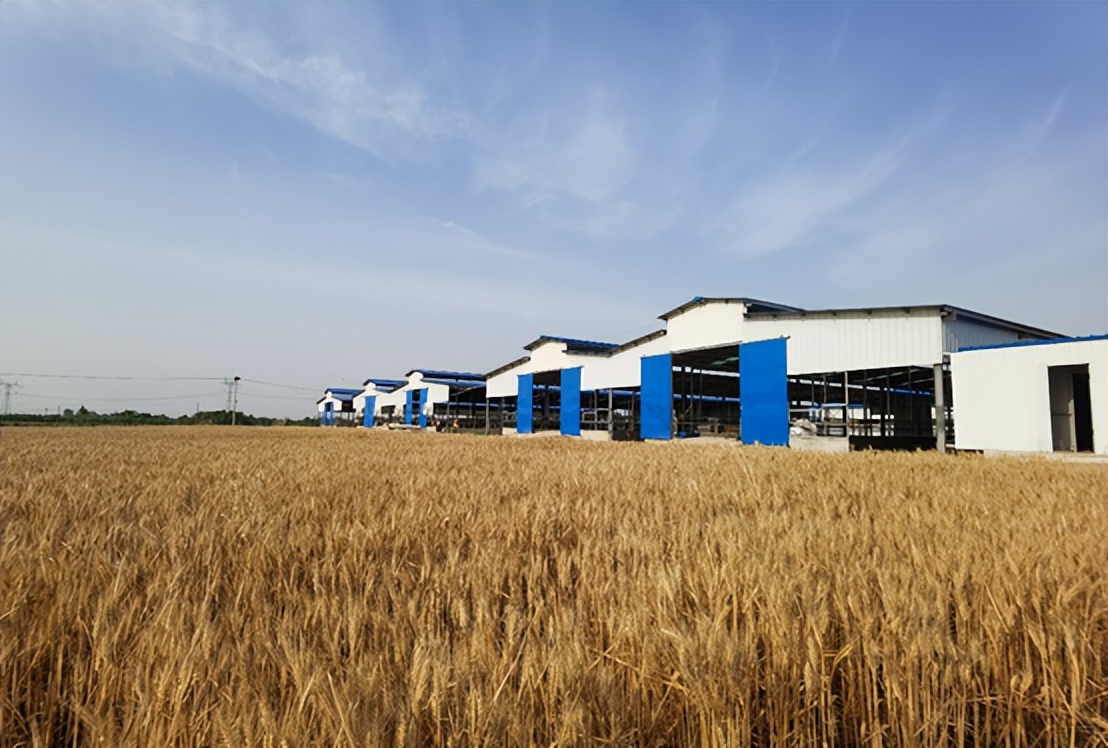 特色养殖扶贫模式,光山县孙铁铺镇