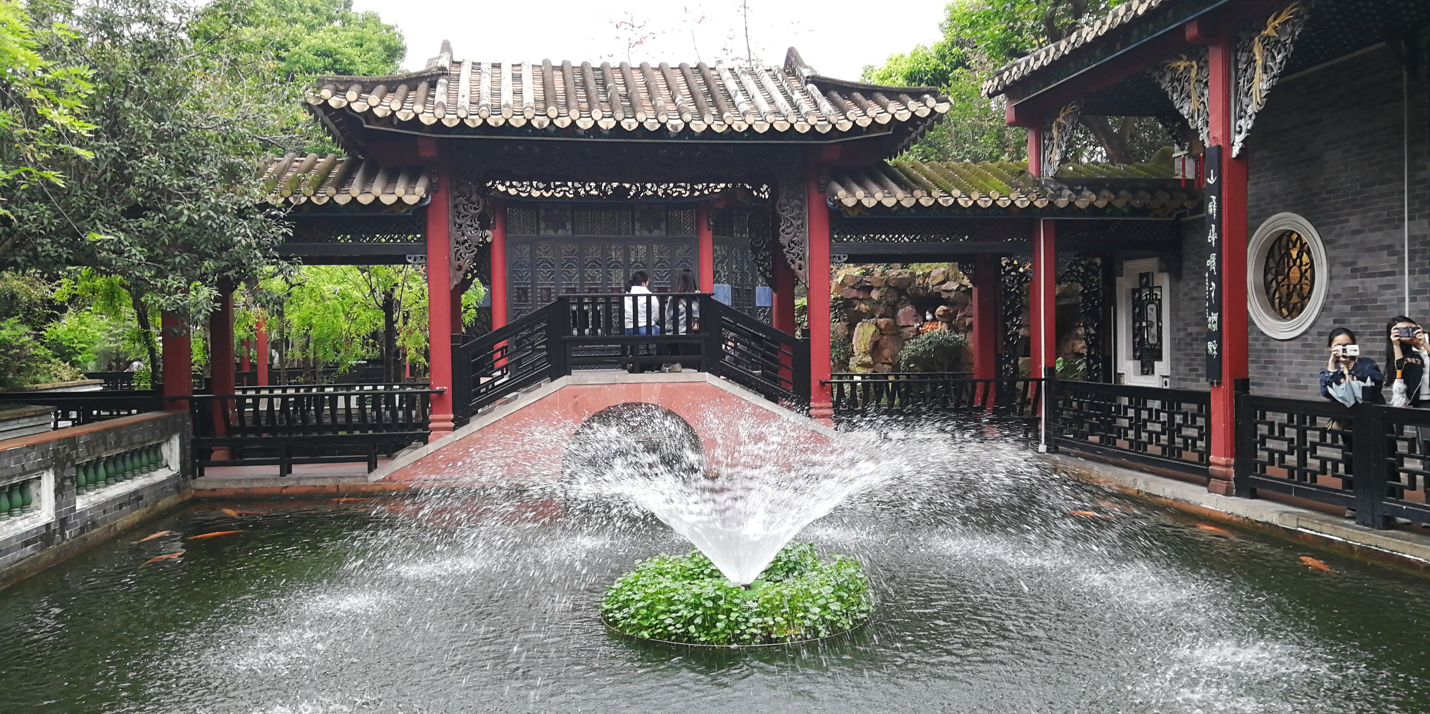 广州景点赏花攻略一日游,广州附近赏花旅游景点推荐