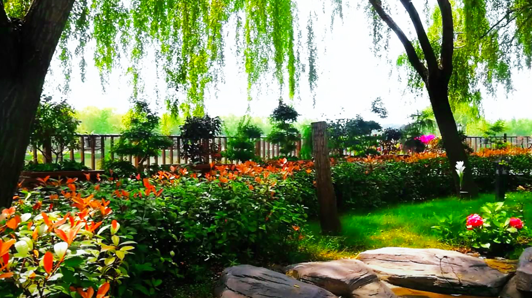 武汉东湖湖心岛,武汉最美山间民宿