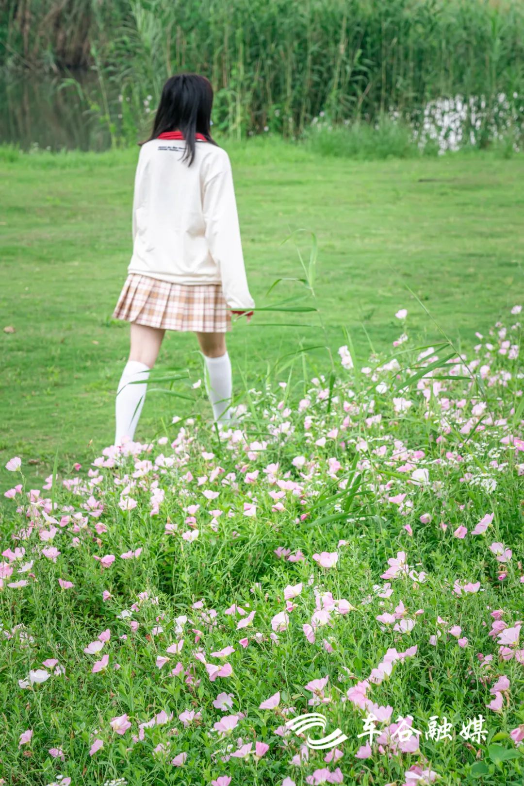 车谷灯光秀,车谷光影秀