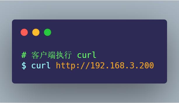 一文教会实战网络抓包和分析包