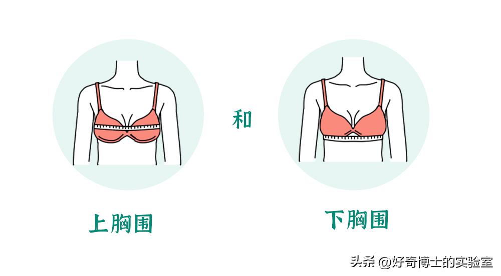 防止无肩内衣肩带滑落的方法,内衣肩带宽怎么还溜肩