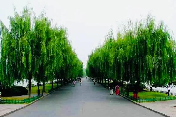 杭州西湖照片,杭州西湖旅游攻略