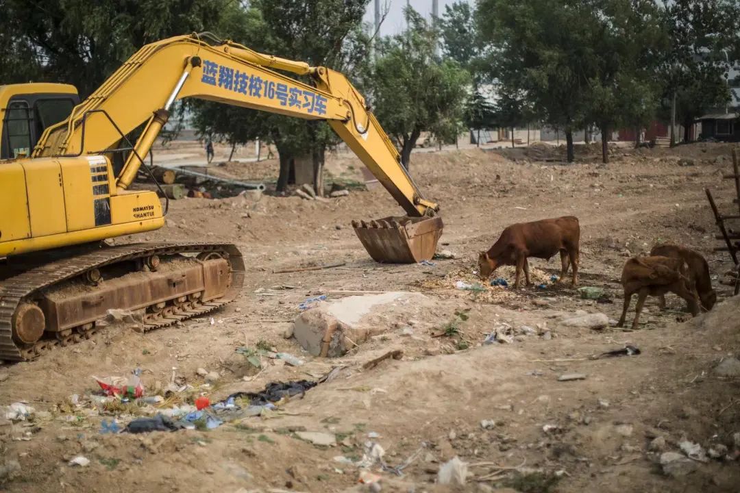 蓝翔校长前妻回应女儿举报,蓝翔校长前妻事件始末