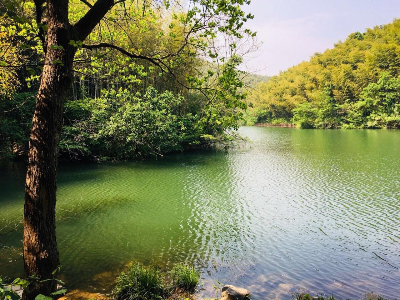南京春游推荐石塘竹海景区,南京石塘竹海怪坡