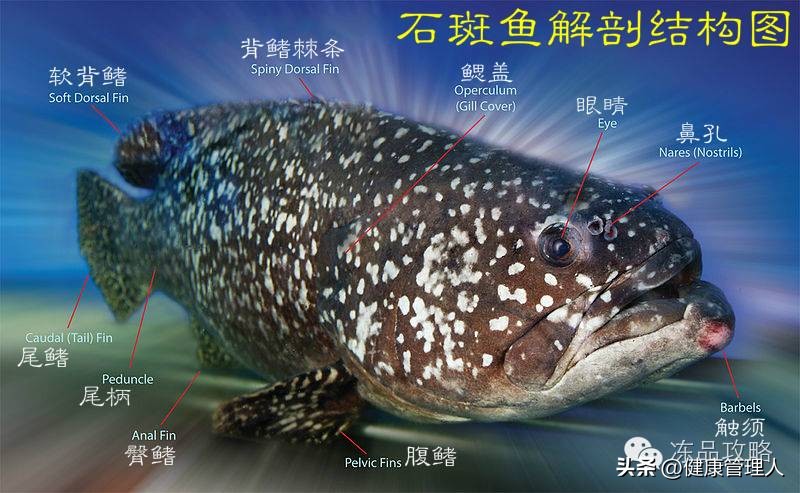 美容护肤食疗方案,美容护肤养生介绍