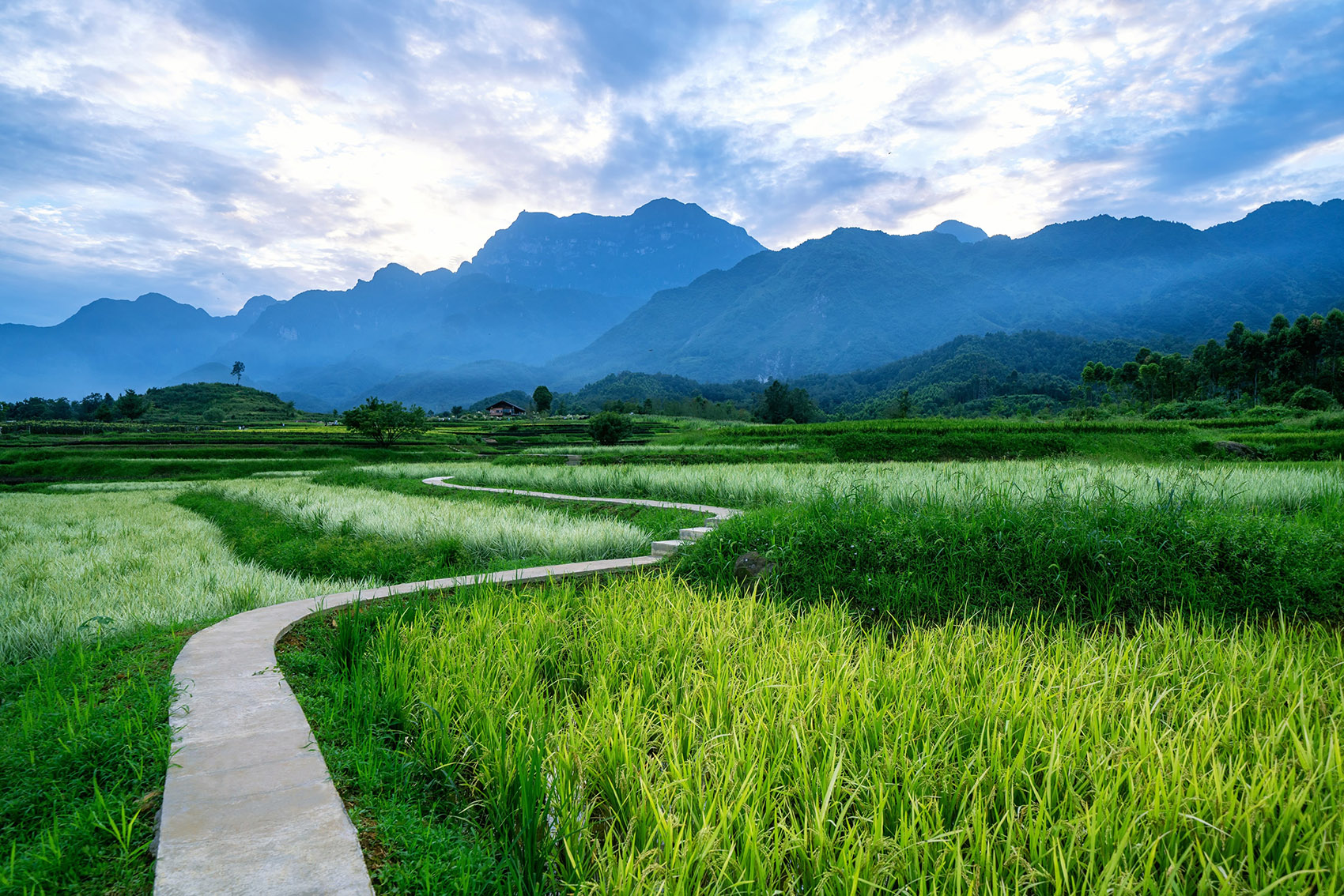 峨眉高桥小镇是哪个公司开发的,峨眉高桥小镇门票