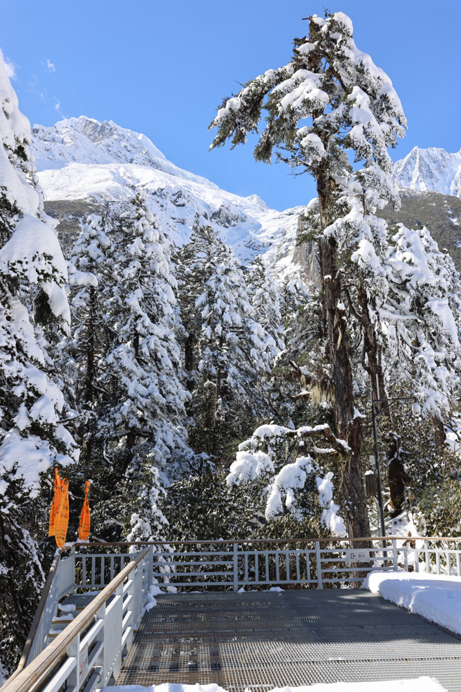 海螺沟里面的景区,海螺沟雪山山顶介绍