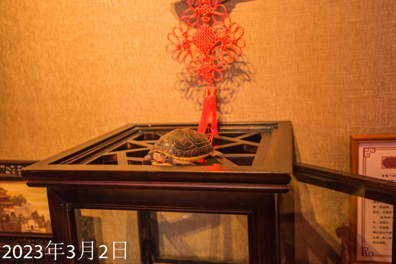 芙蓉镇古镇游记,岳阳楼旅游攻略游记