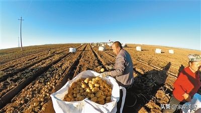 全国哪些地方的土豆最好吃,全国哪的土豆最好
