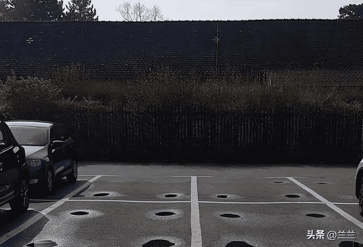 鏃ュ啗鍏借,渚靛崕鏃ュ啗鍏借