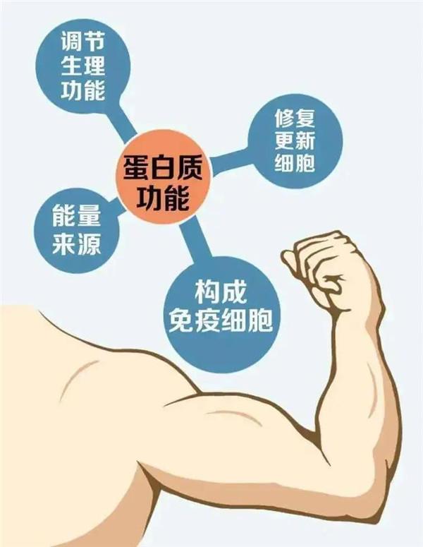 优质蛋白质食物牛奶怎么选择,牛奶蛋白质含量低为什么营养高