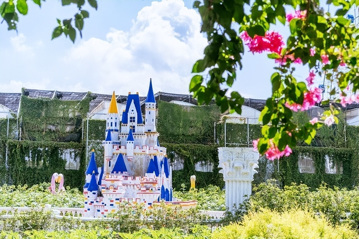 湾区光影魅力,南沙湾区超美风景线