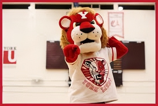 约克大学在加拿大排名第几大,加拿大约克大学yorkuniversity