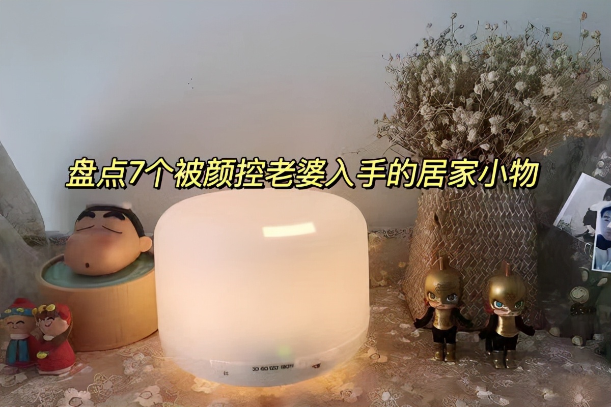 买时“肉疼”,越用却越上瘾的7样小物件,每一个都戳中家居痛点