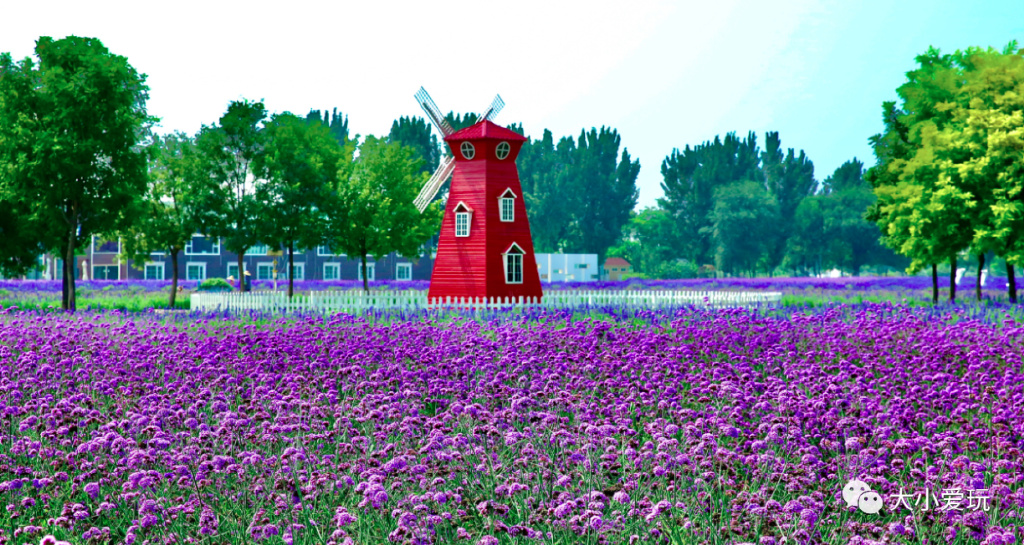 周末来袭快看看可以游玩的好去处 (游玩攻略这些地方你一定要看一看)