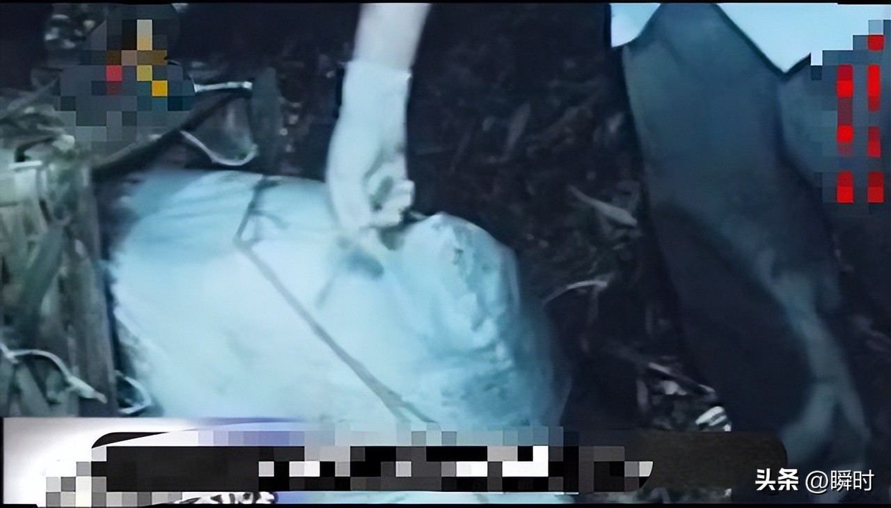 变态少女连环杀人案,真实事件的变态杀人案