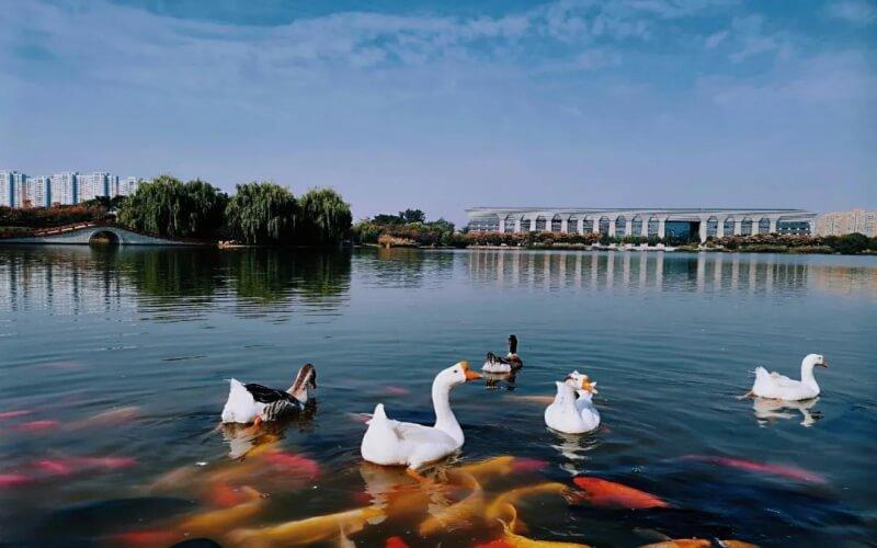 洛阳师范学院优劣势,洛阳皇家女子师范学院