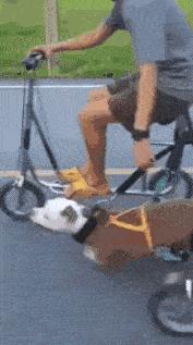 妹子穿皮裤,女生的皮裤