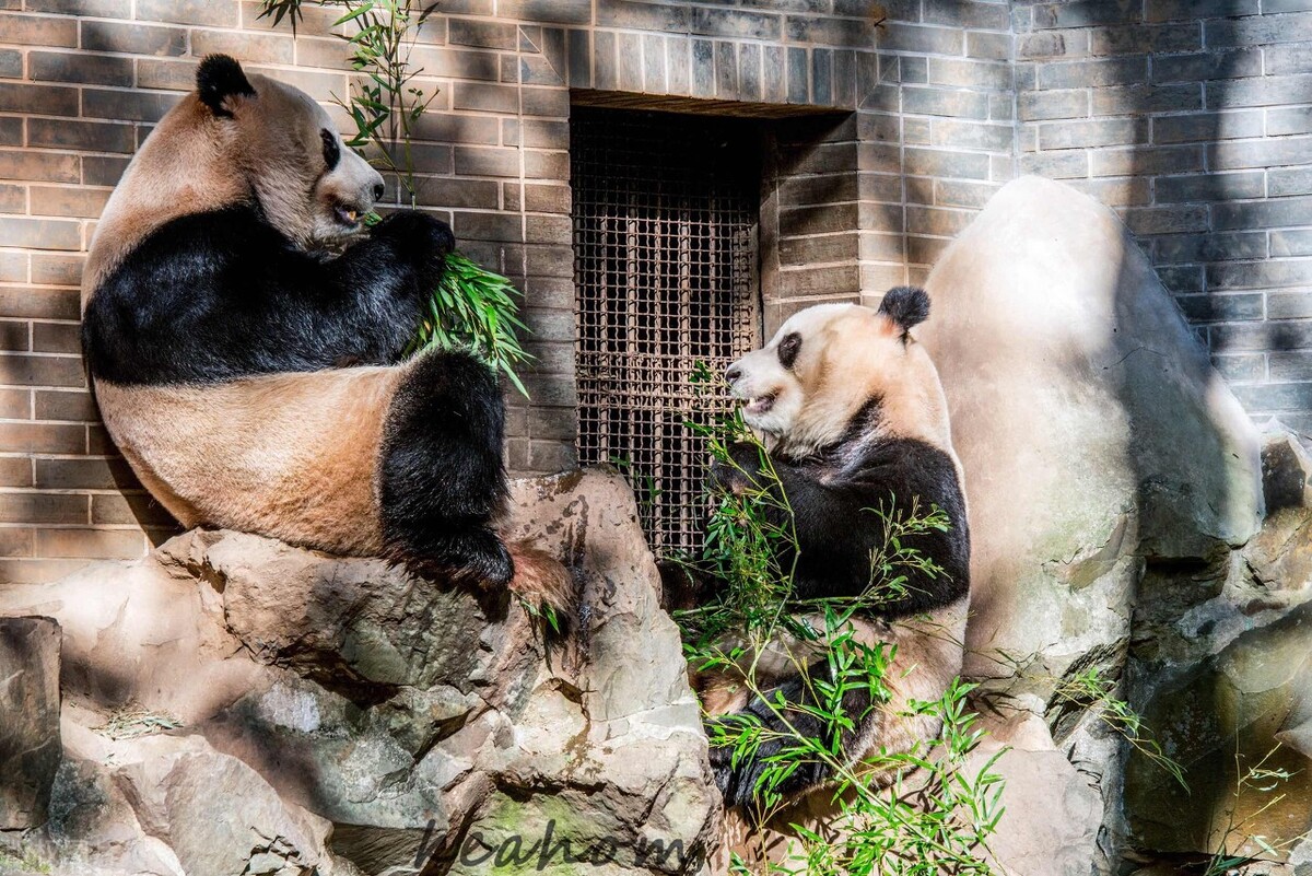 杭州旅游打卡必去景点推荐,最新杭州旅游攻略打卡必备景点