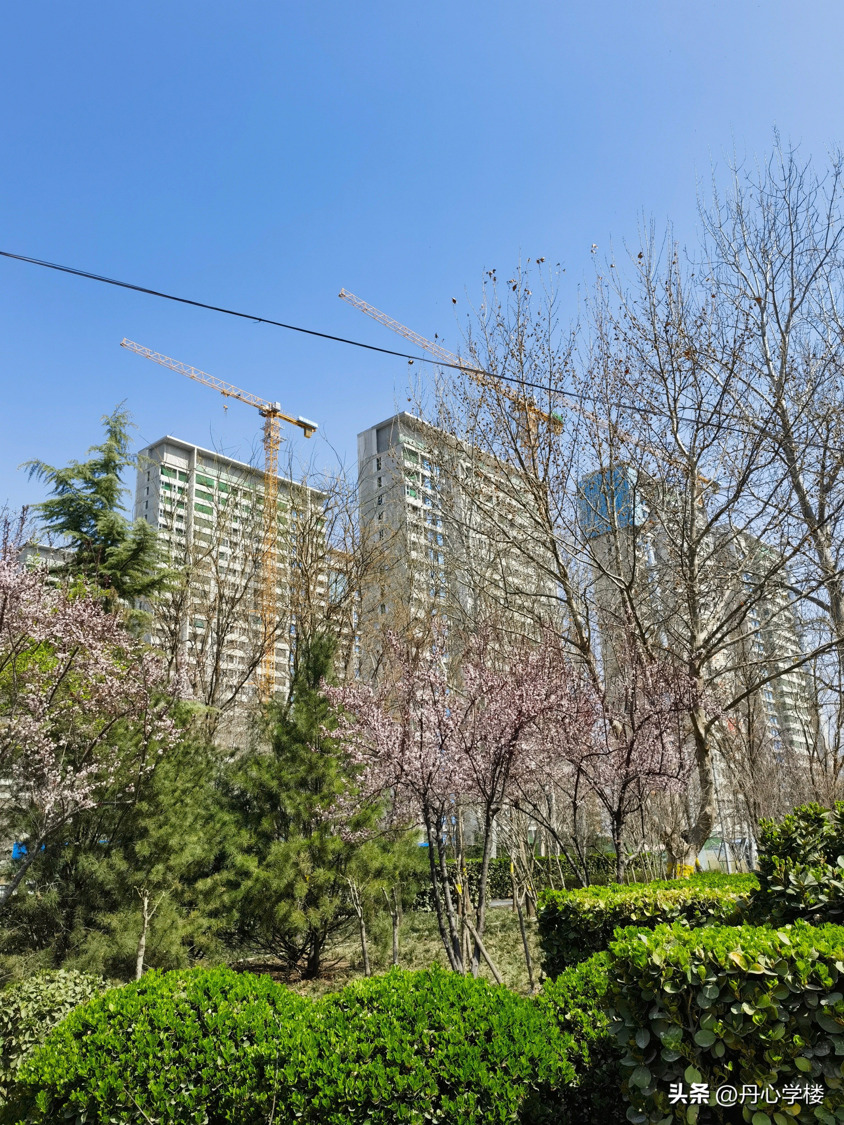 石家庄最好的房企排名,石家庄企业倒闭名单