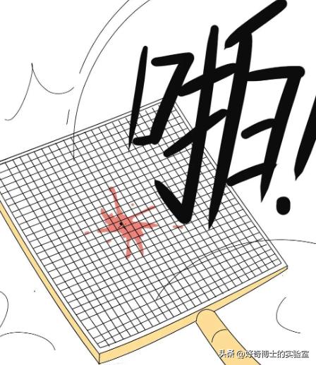 到底住几楼以上夏天才没蚊子,住多少楼层会没有蚊子