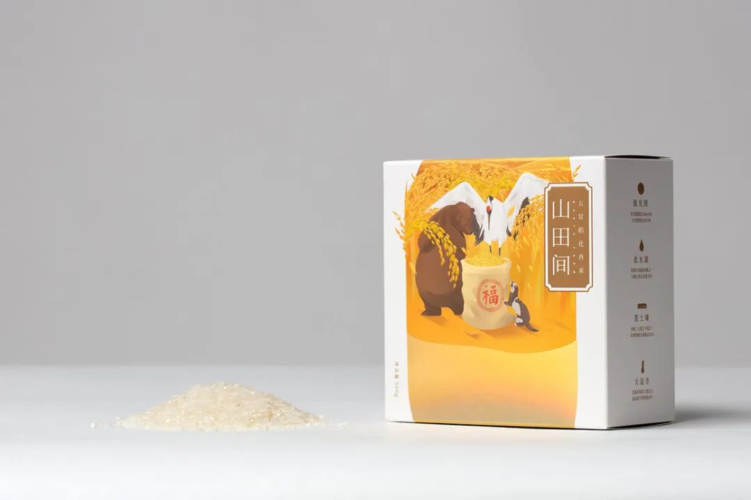 闀囨睙澶х背鍖呰璁捐,澶х背鍖呰璁捐娴欐睙