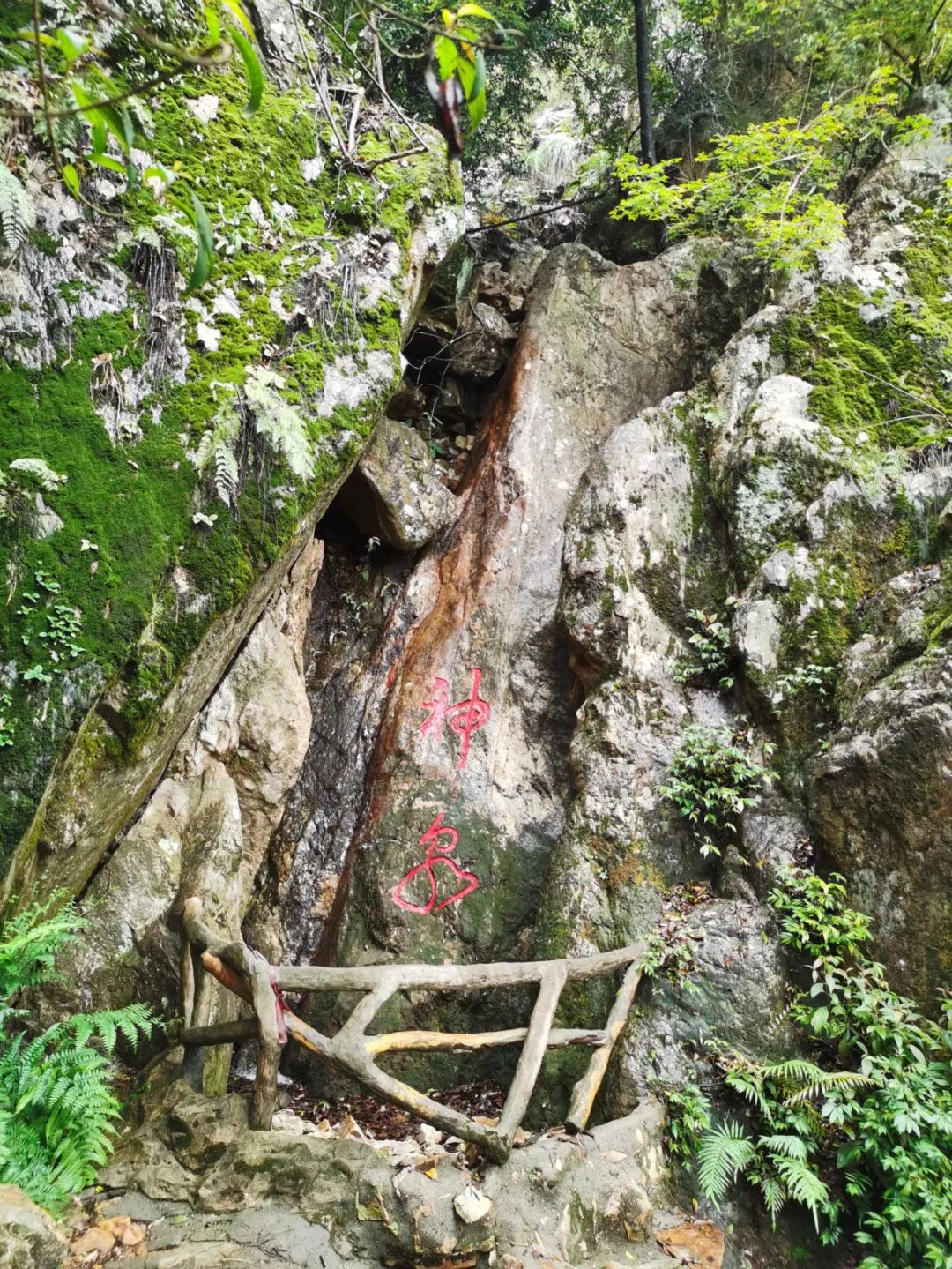旅游年卡飞熊乐园,水上乐园年卡团购限几人