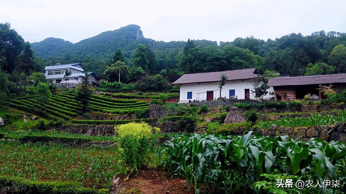 普通瓦换沥青瓦,老瓦片改沥青瓦