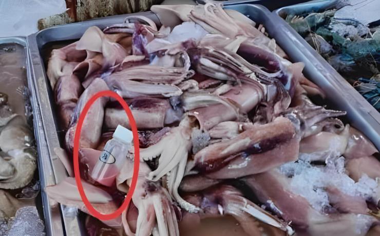 尸体药水泡海鲜，“色素”鸡蛋再现，315未曝光的菜场内幕太吓人