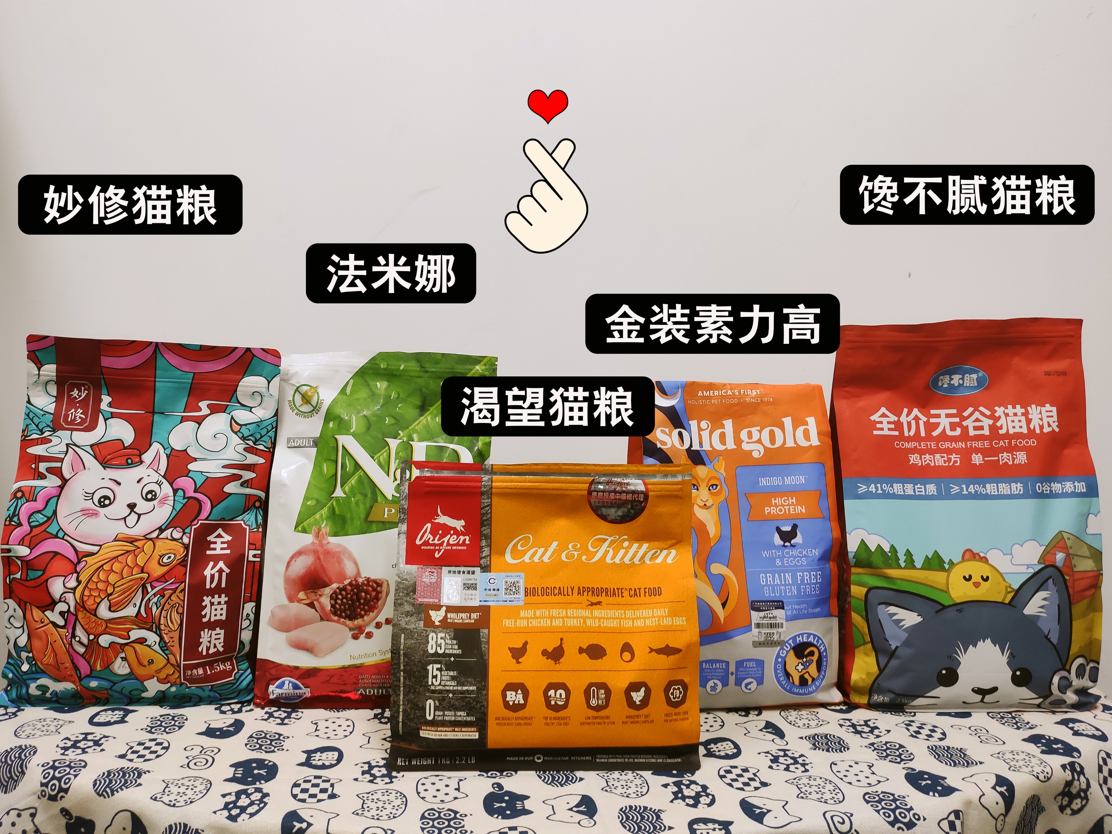 养猫一年后我发现我得了6种病,再次提醒养猫会得这7种病