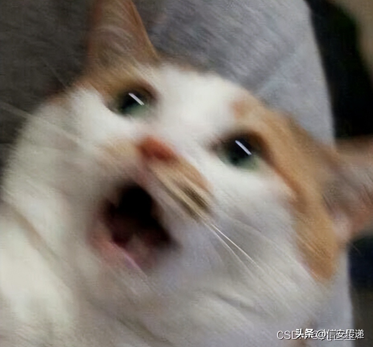 网络攻防实战技巧,网络攻防入门基础知识讲解