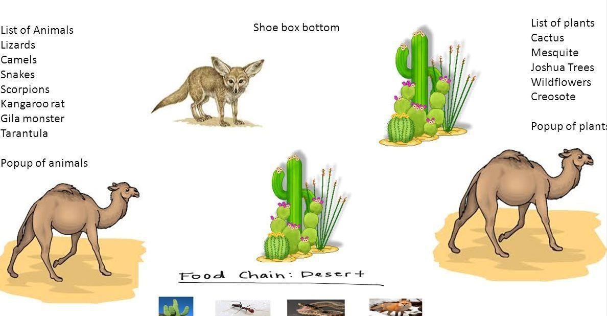 生存战争骆驼和驴,生存竞争