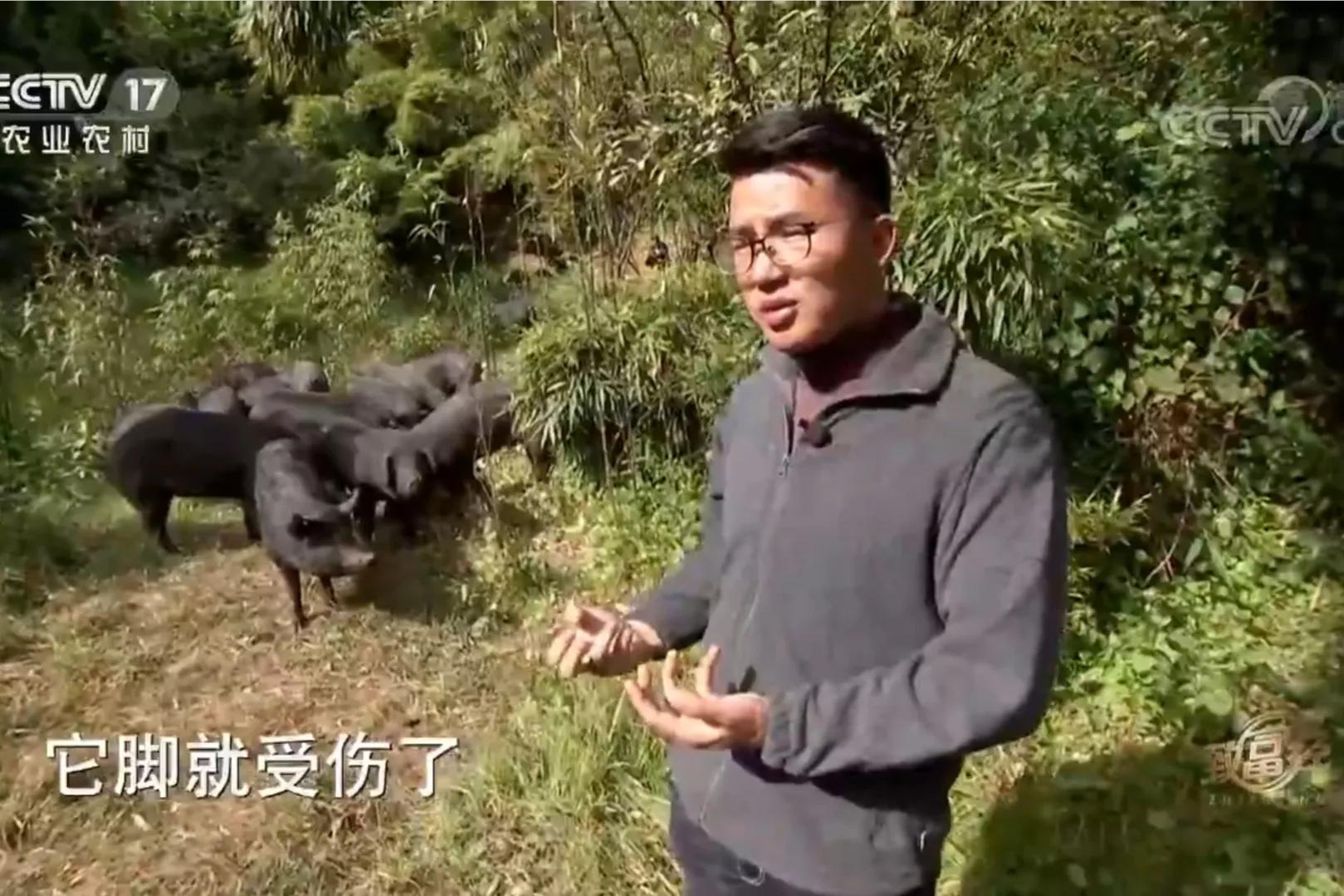 男子承包900亩荒山创业,小伙承包500亩地种特产如今暴富