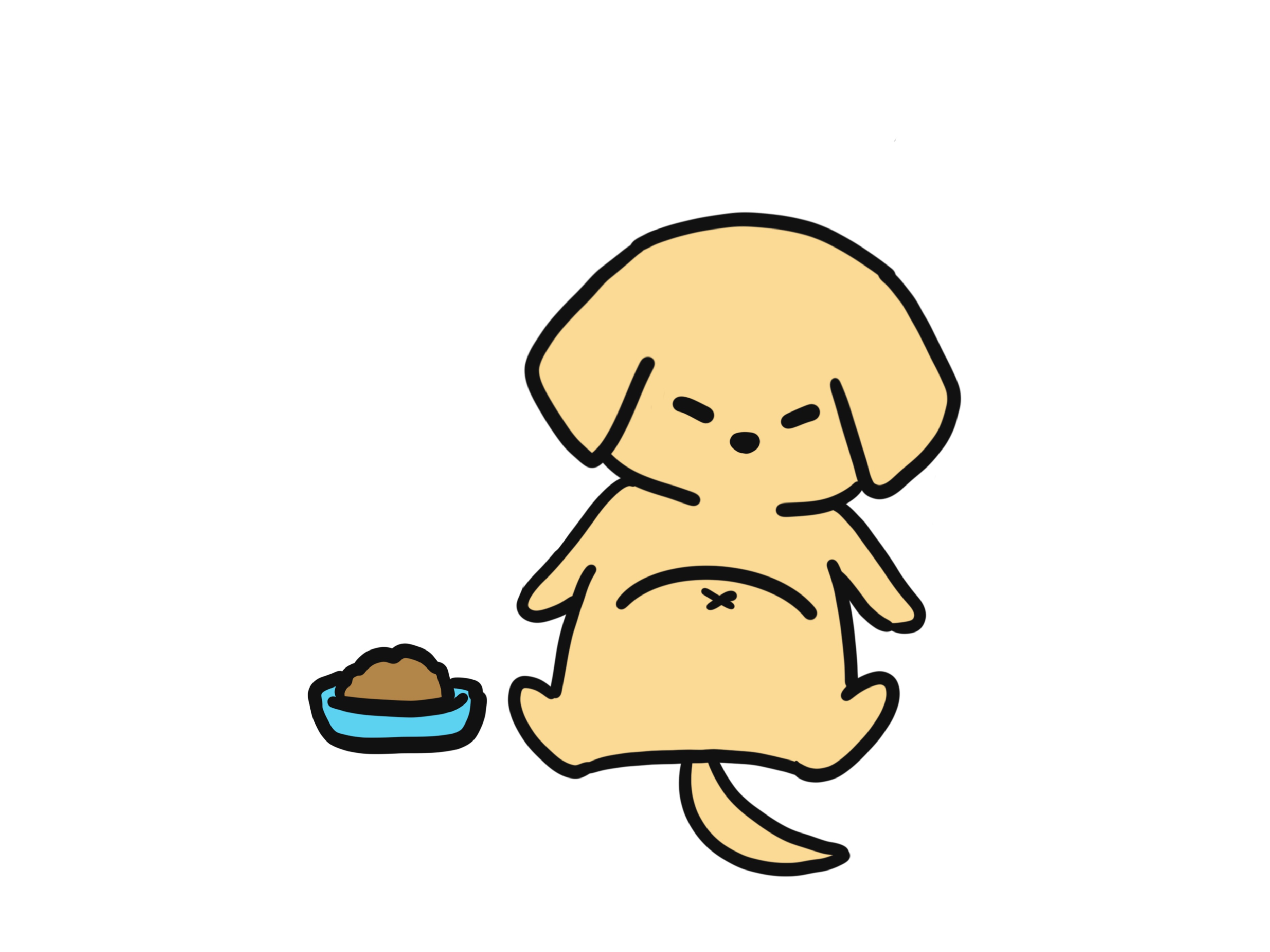 狗狗不吃食怎么办用什么药,狗狗不吃食怎么办