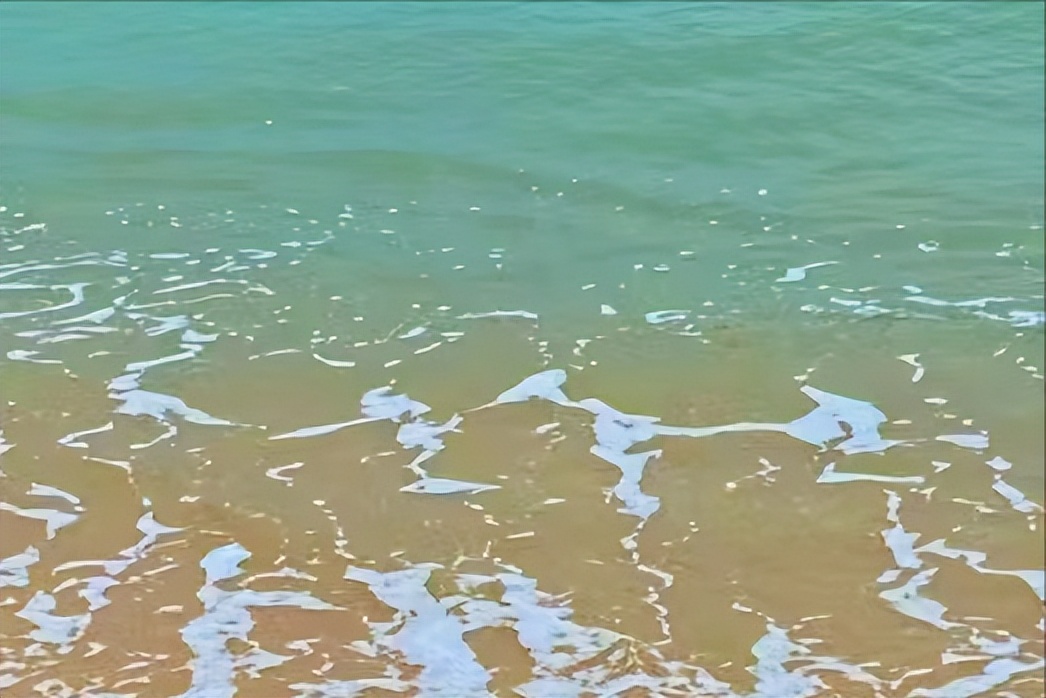 厦门旅游攻略三天两夜情侣攻略,厦门三天两夜游报团