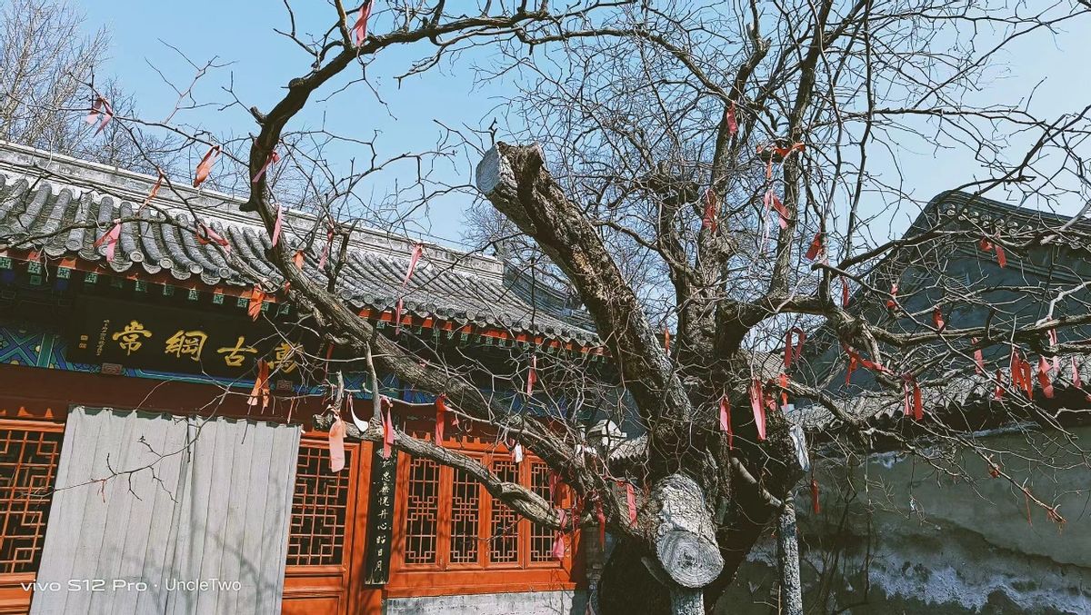 北京哪条胡同最原始最值得一看,十大著名的北京胡同