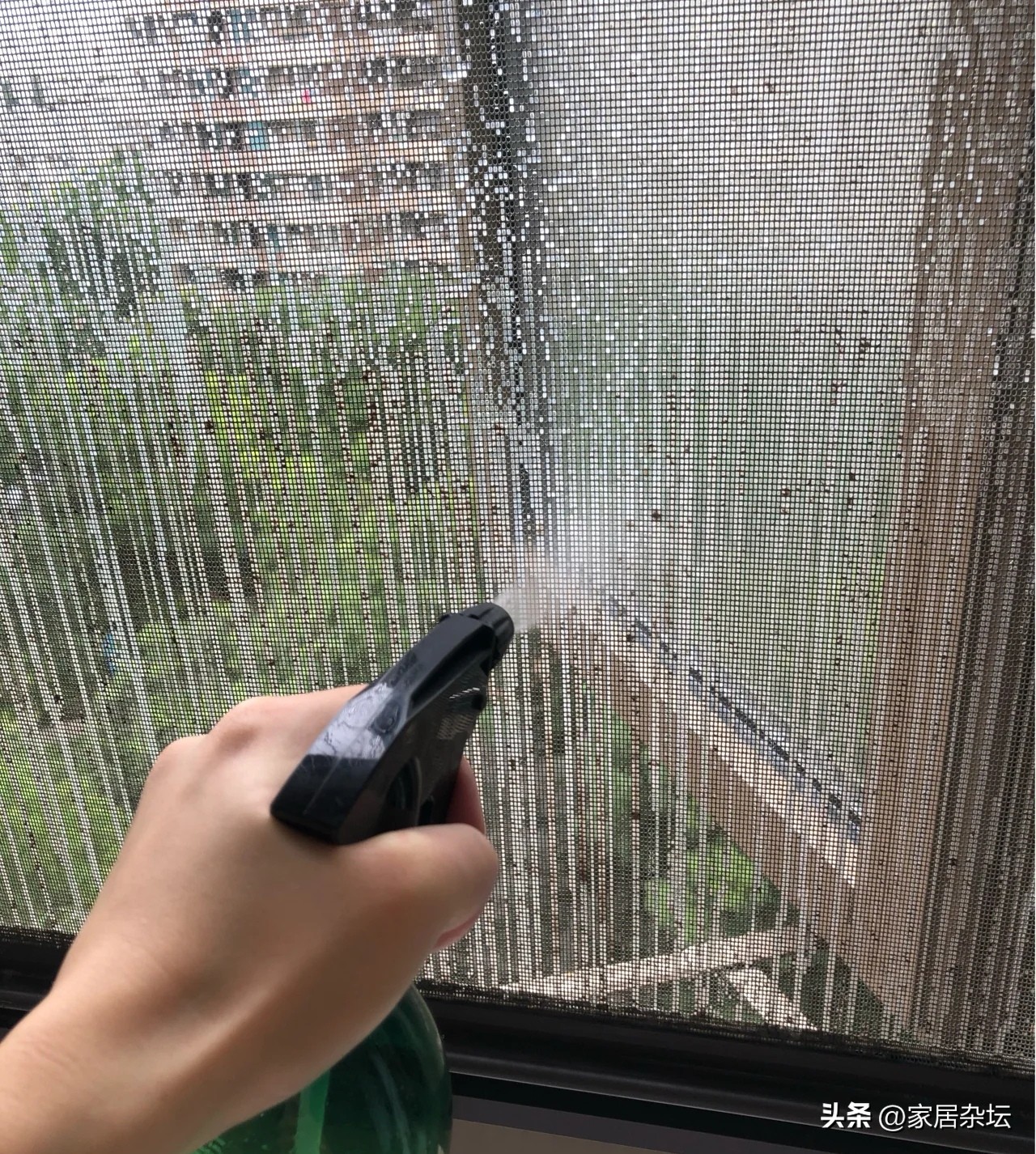 为什么不建议用金刚网纱窗,金刚网纱窗什么时候流行的