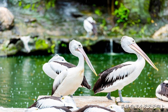 郑州市免费好玩的公园,郑州市区最适合老年人游玩的公园