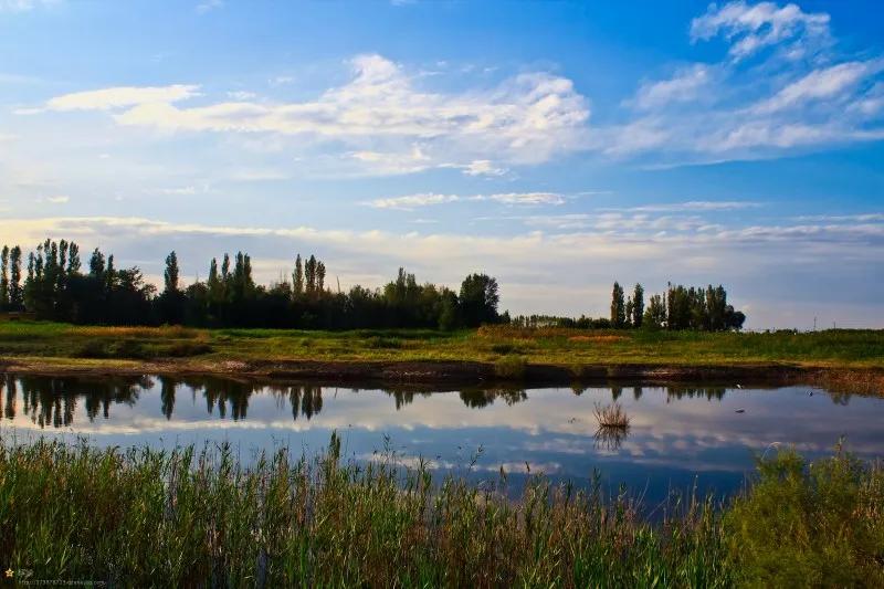 新疆玛纳斯湿地迎来候鸟迁徙,玛纳斯国家湿地公园迎候鸟