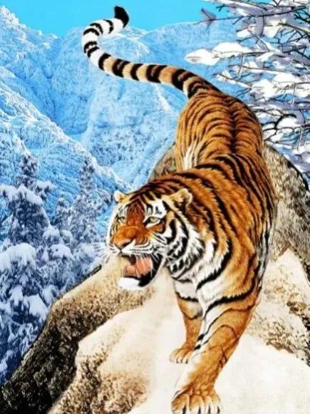 养精蓄锐蓄势待发,养精蓄锐蓄势待发重振雄风