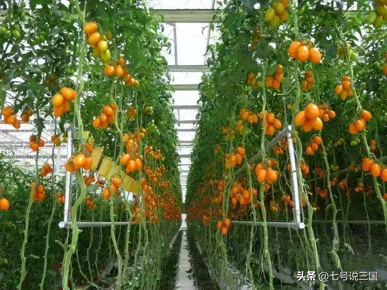 欧盟哪个国比较富有,欧盟27国经济排名