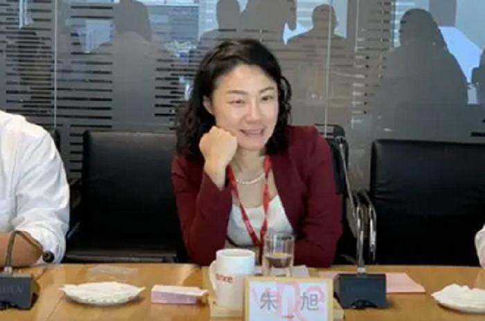 最贵女秘书朱旭,中国年薪最高的董秘朱旭
