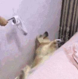 洗衣用消毒液出现皮肤不适,消毒液对皮肤瘙痒有作用吗