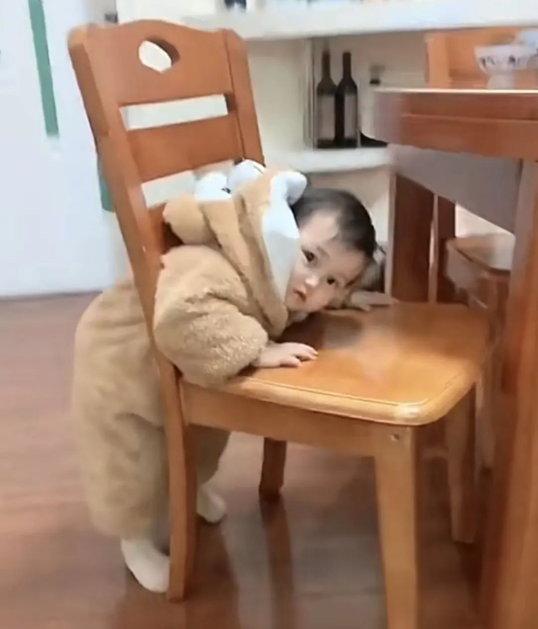 一个月涨粉最多的网红,最近一周涨粉最多的网红