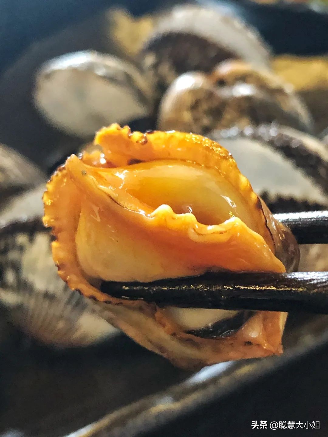 珠海被称为百岛之市浪漫之城,珠海百岛之城历史